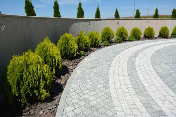Reasons to Select Us for Your Driveway Paving Requirements in Bryan, TX